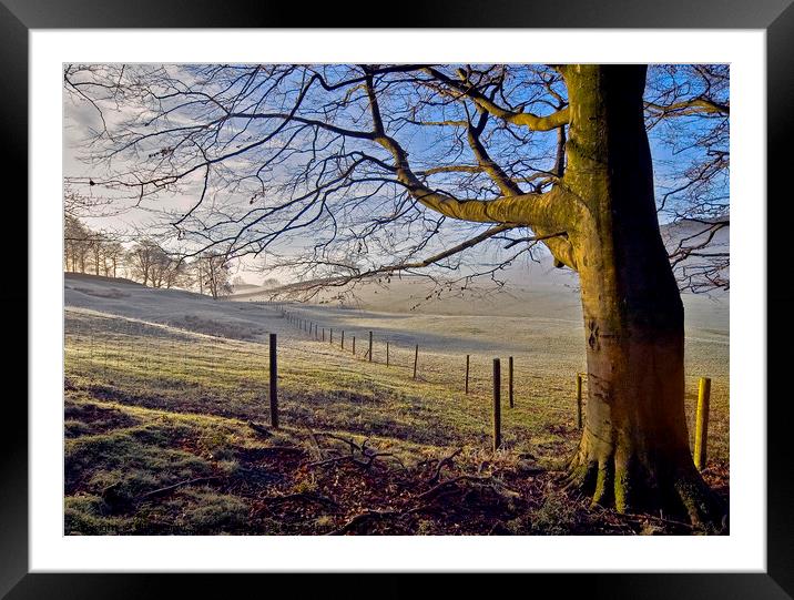 A light frost on sheep pasture in the Lake District, Cumbria. Framed Mounted Print by Phil Brown