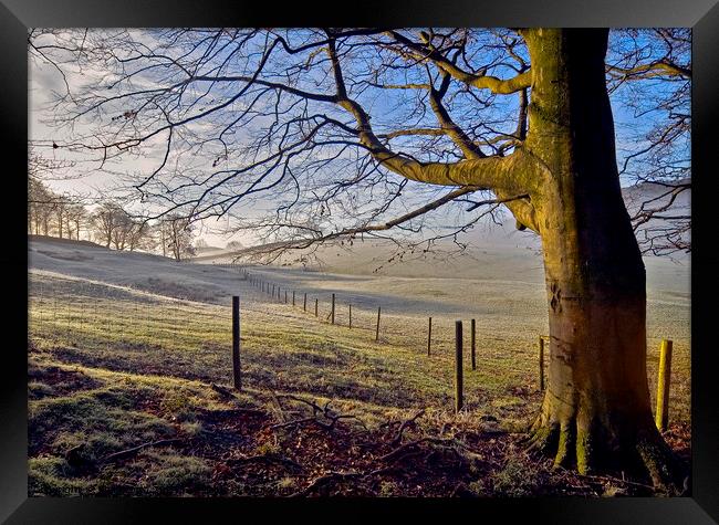 A light frost on sheep pasture in the Lake District, Cumbria. Framed Print by Phil Brown