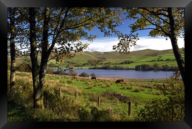 Overwater Tarn on Caldbeck Common, Lake District, Cumbria. Framed Print by Phil Brown