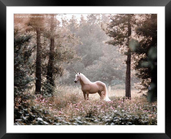 Unicorn Framed Mounted Print by Tom McPherson