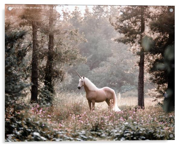 Unicorn Acrylic by Tom McPherson