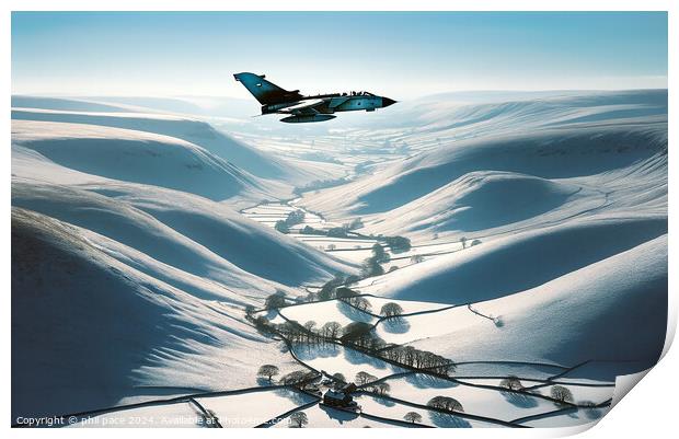 Winter's Flight Print by phil pace