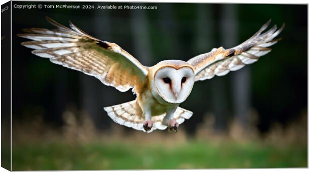 Barn Owl in Flight Canvas Print by Tom McPherson