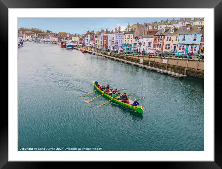 Gig practice in  Weymouth Harbour  Framed Mounted Print by Beryl Curran