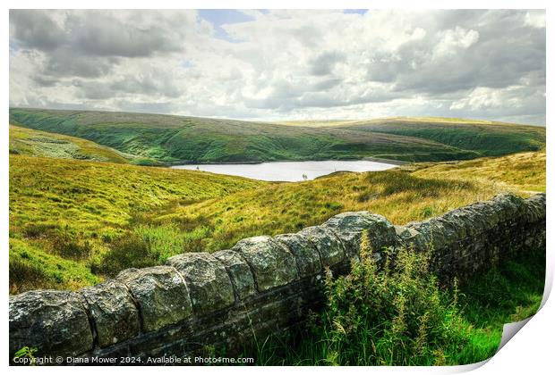 Wessenden Head Reservoir West Yorkshire Print by Diana Mower