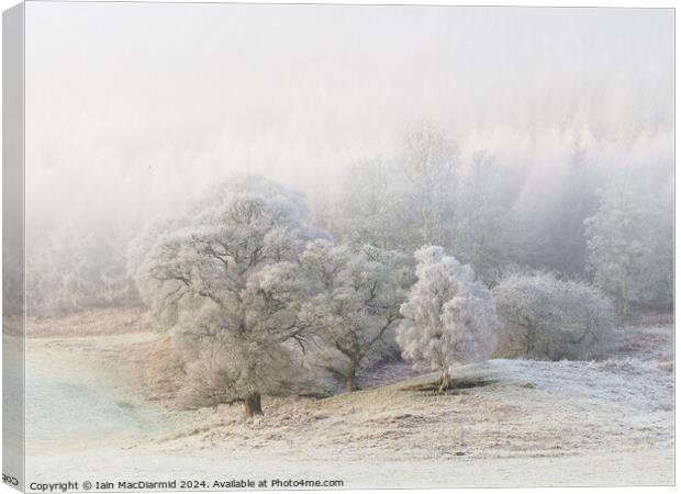 A Winter Scene Canvas Print by Iain MacDiarmid