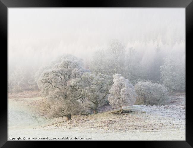 A Winter Scene Framed Print by Iain MacDiarmid