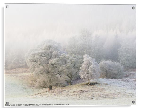 A Winter Scene Acrylic by Iain MacDiarmid