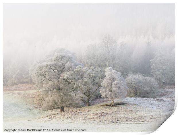 A Winter Scene Print by Iain MacDiarmid