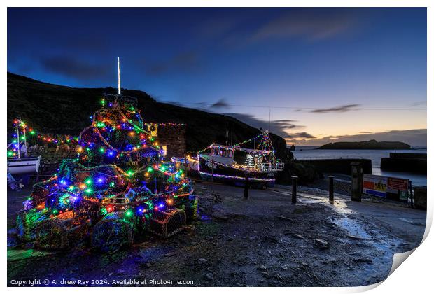 Christmas at Mullion Cove  Print by Andrew Ray