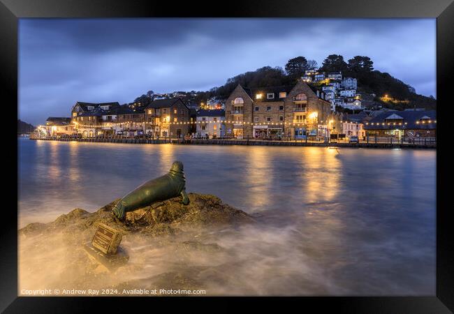 Seal statue at Looe  Framed Print by Andrew Ray