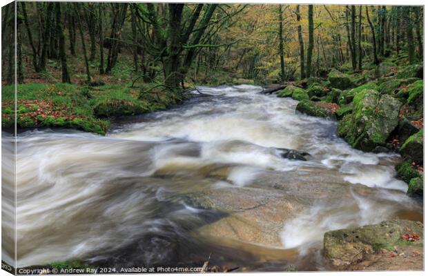 Autumn at Golitha Falls  Canvas Print by Andrew Ray