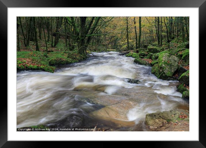 Autumn at Golitha Falls  Framed Mounted Print by Andrew Ray