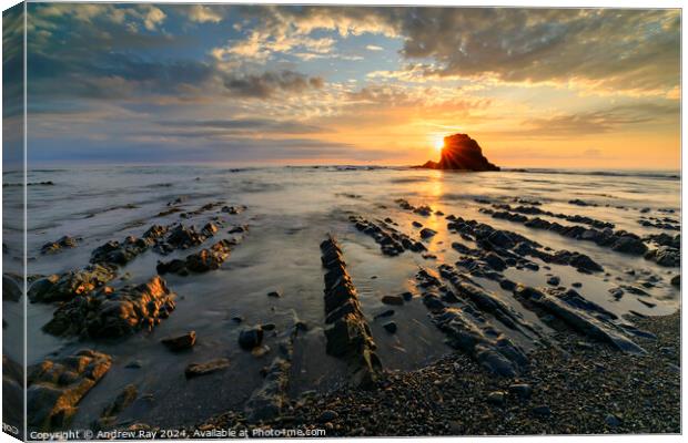 Setting sun at Widemouth Bay Canvas Print by Andrew Ray