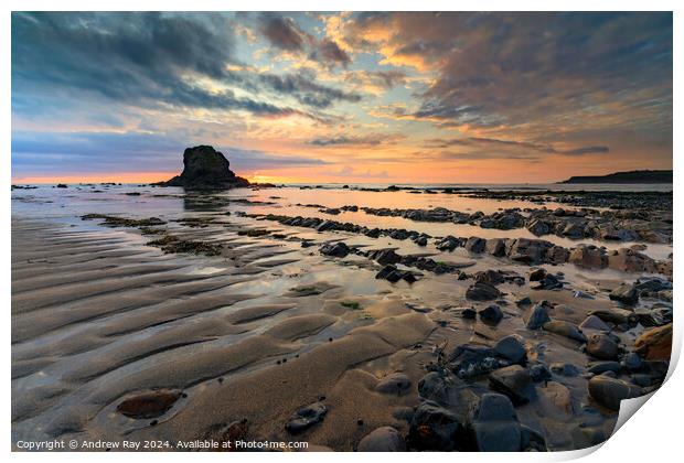 Black Rock at sunset (Widemouth Bay) Print by Andrew Ray