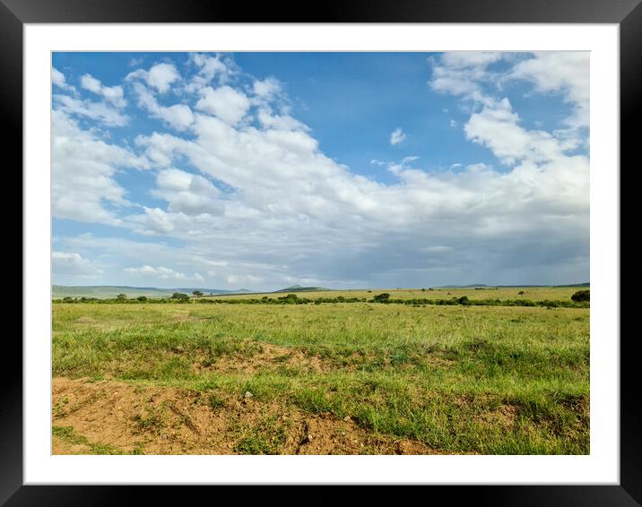 Typical savannah landscape in the heart of Africa during the rai Framed Mounted Print by Michael Piepgras