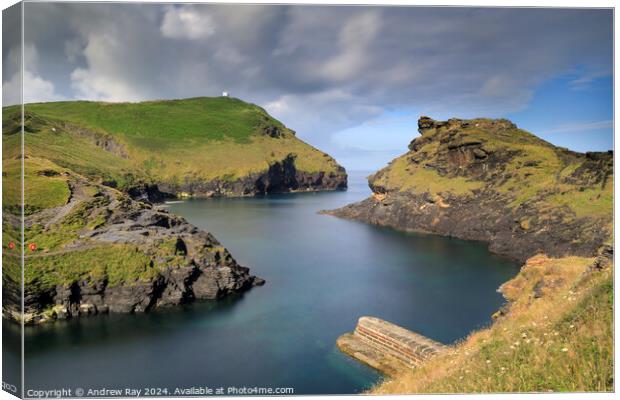 Boscastle Harbour Entrance  Canvas Print by Andrew Ray