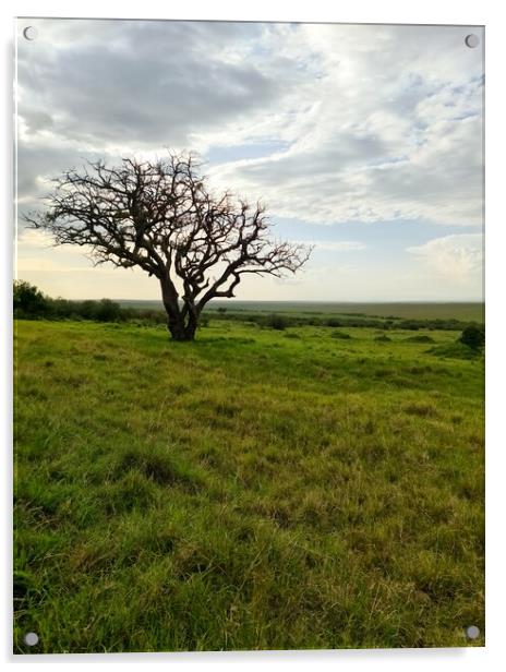Typical African trees in the savannah of the Masai Mara Park in  Acrylic by Michael Piepgras