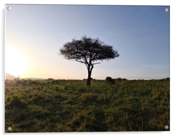 Typical African trees in the savannah of the Masai Mara Park in  Acrylic by Michael Piepgras
