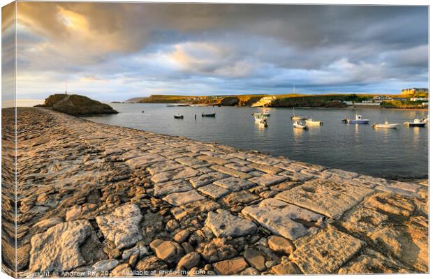Evening at Bude Breakwater  Canvas Print by Andrew Ray