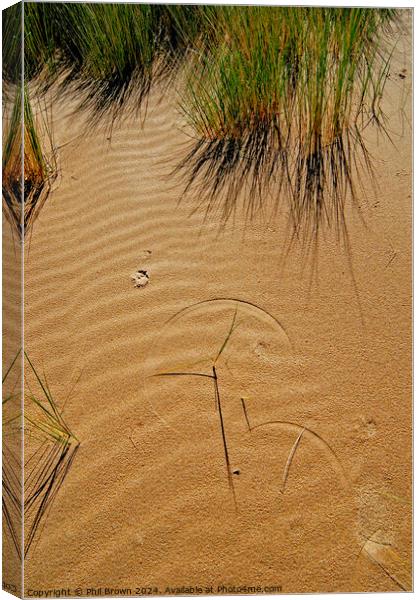 Grass forms patterns on the sand Canvas Print by Phil Brown