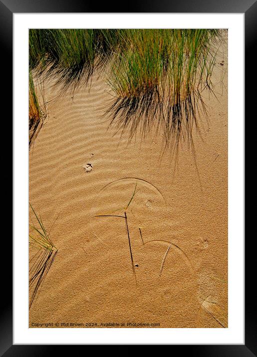 Grass forms patterns on the sand Framed Mounted Print by Phil Brown