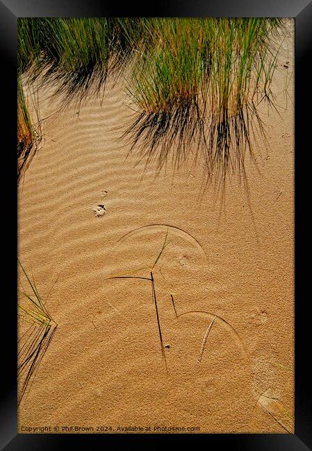 Grass forms patterns on the sand Framed Print by Phil Brown