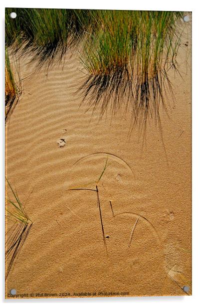 Grass forms patterns on the sand Acrylic by Phil Brown