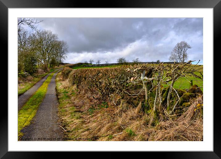 Trimmed field hedge Framed Mounted Print by Phil Brown