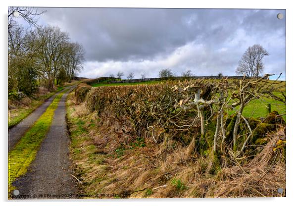 Trimmed field hedge Acrylic by Phil Brown