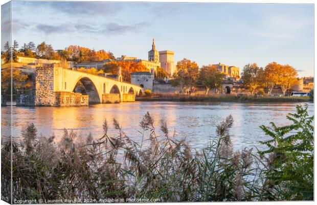 Avignon city and his famous bridge over the Rhone River. Photogr Canvas Print by Laurent Renault