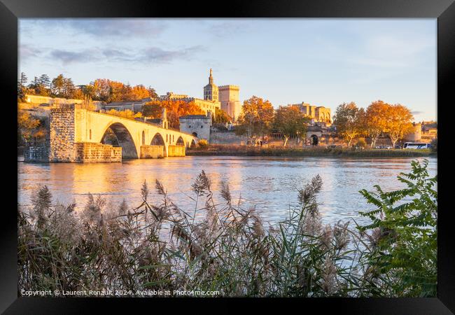 Avignon city and his famous bridge over the Rhone River. Photogr Framed Print by Laurent Renault