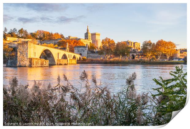 Avignon city and his famous bridge over the Rhone River. Photogr Print by Laurent Renault