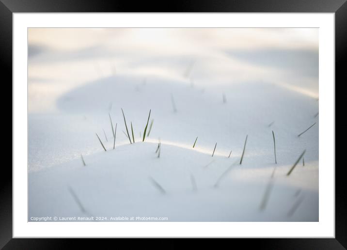 Spring grass emerging from white snow Framed Mounted Print by Laurent Renault