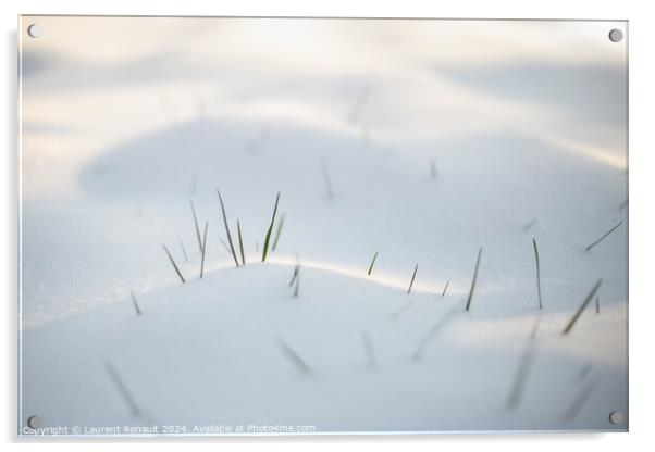 Spring grass emerging from white snow Acrylic by Laurent Renault