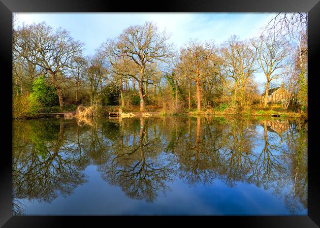 Peaceful Pond Framed Print by Clive Eariss