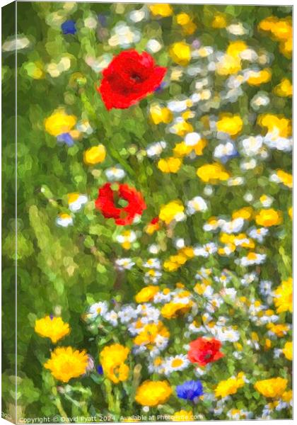 Meadows Of Summer Art Canvas Print by David Pyatt