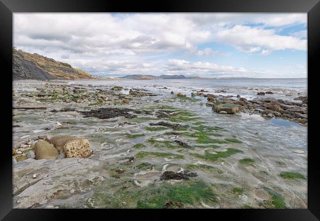 Ammonite's Graveyard  Framed Print by Mark Godden