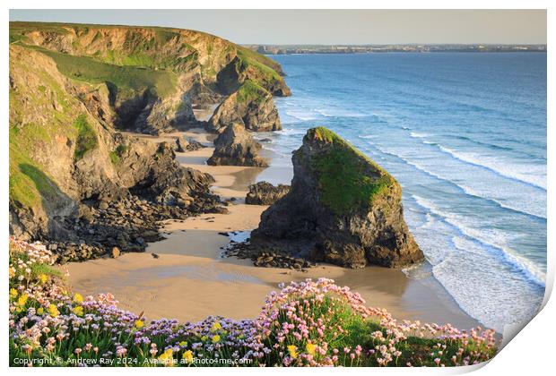 Above Bedruthan Steps Beach  Print by Andrew Ray