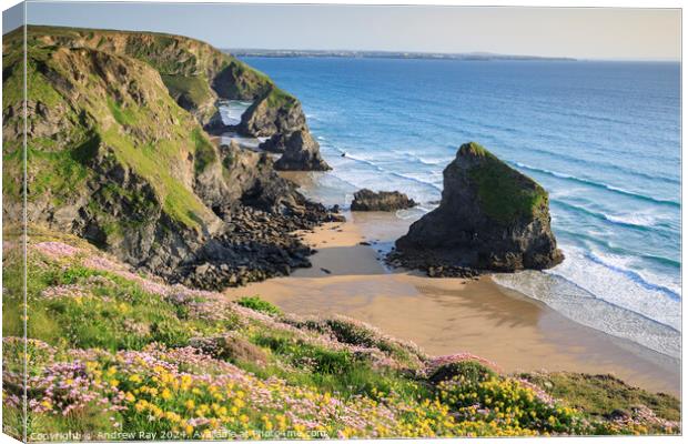 Spring floral display (Bedruthan Steps)  Canvas Print by Andrew Ray