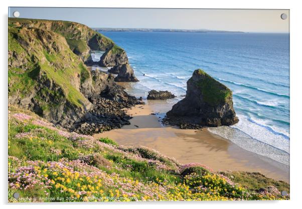 Spring floral display (Bedruthan Steps)  Acrylic by Andrew Ray