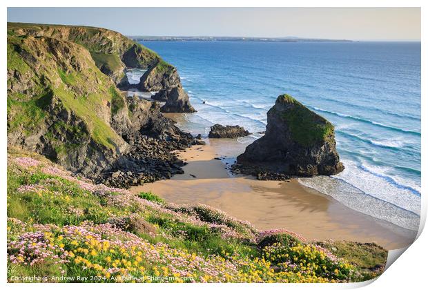 Spring floral display (Bedruthan Steps)  Print by Andrew Ray