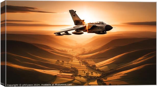 Sunset Soar Canvas Print by phil pace