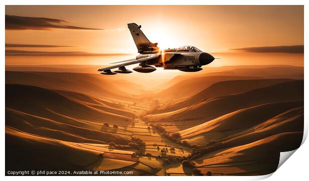Sunset Soar Print by phil pace