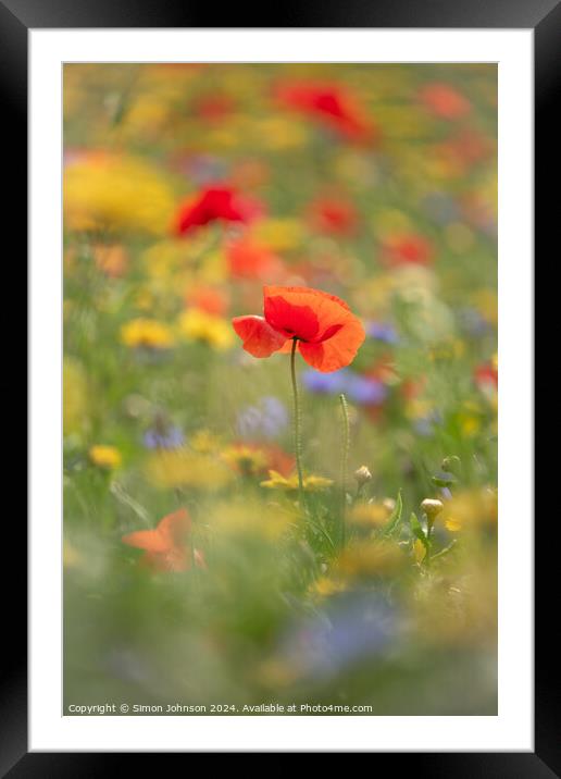 A close up of a  Poppy flower Framed Mounted Print by Simon Johnson