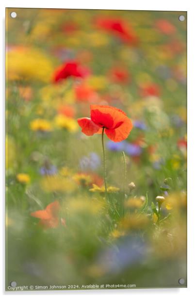 A close up of a  Poppy flower Acrylic by Simon Johnson