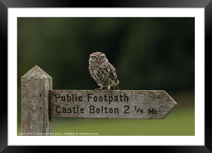Looking for Castle Bolton Framed Mounted Print by Donna Smith