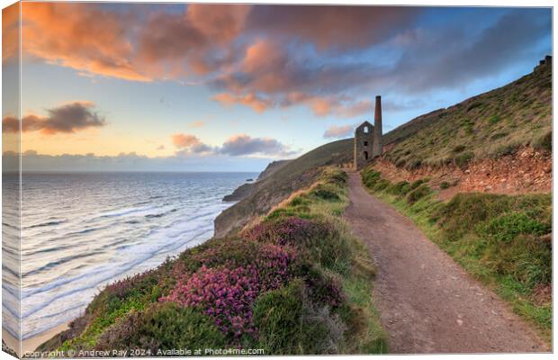 Wheal Coates at sunset  Canvas Print by Andrew Ray