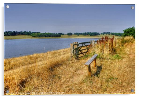 Blithfield Reservoir View Staffordshire Acrylic by Diana Mower