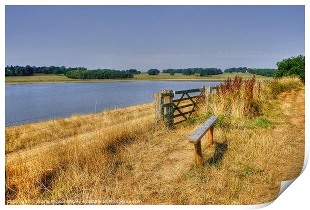 Blithfield Reservoir View Staffordshire Print by Diana Mower